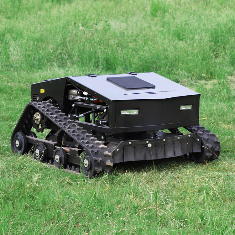 Cortadora de césped de gasolina