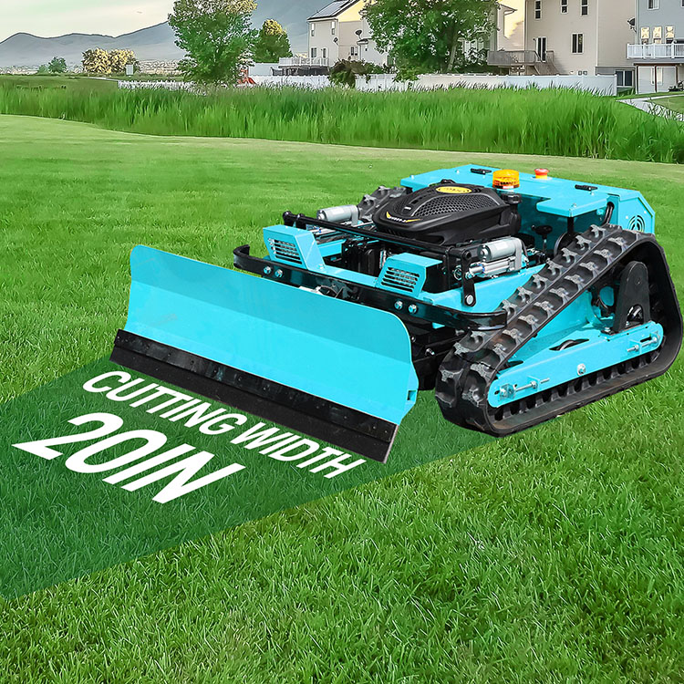 desguace de cortacéspedes de gasolina