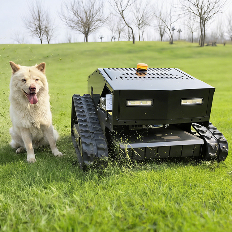 Cortacéspedes en venta