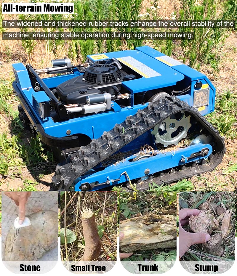 Cortadora de césped autopropulsada.jpg