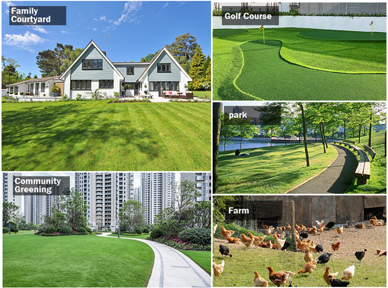 Cortadora de césped de alta eficiencia.jpg