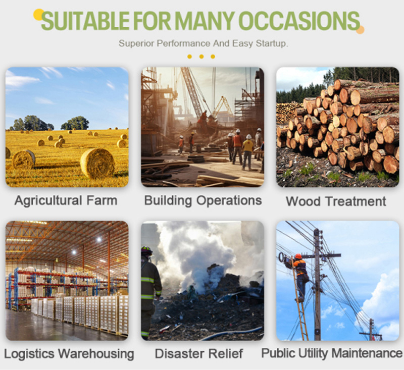 Cargadora de ruedas compacta en venta Cargadora de ruedas compacta en venta