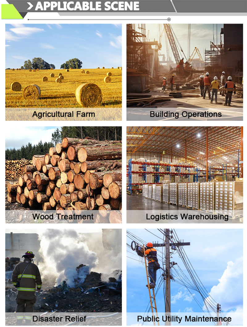 Cargadoras telescópicas.jpg