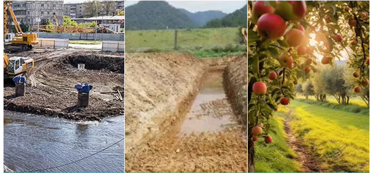 Subasta de minicargadoras