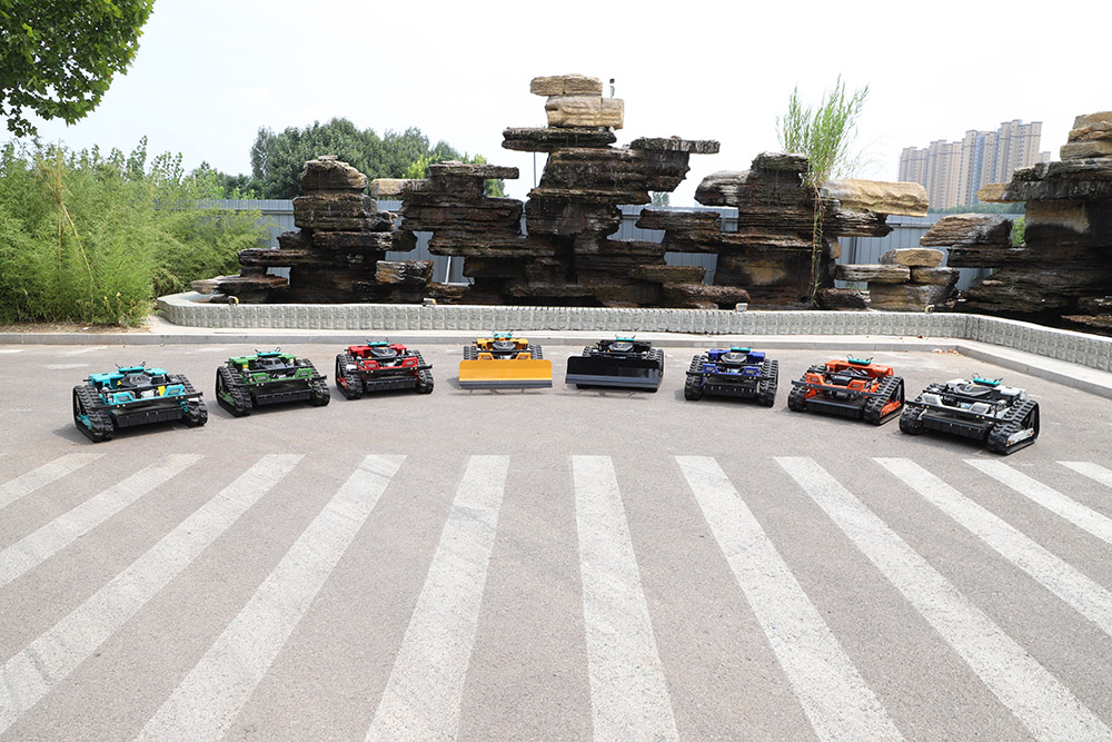 1770004009182625.jpg Imagen_1385.jpg